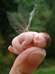 pic for Baby Fairy